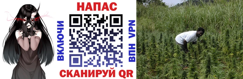 Сколько стоит Мостовской A-PVP ГЕРОИН Каннабис АМФ mega ссылка Меф COCAIN