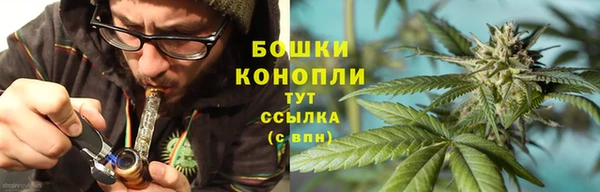 дживик Мегион