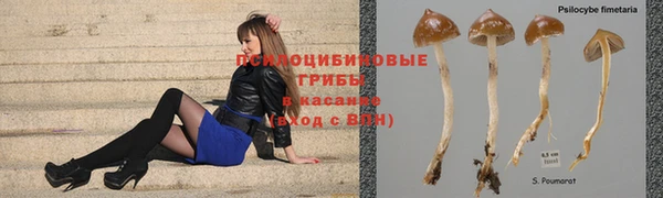 экстази Медногорск