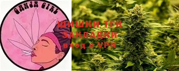 ешки Медвежьегорск
