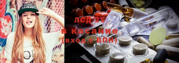 дживик Мегион