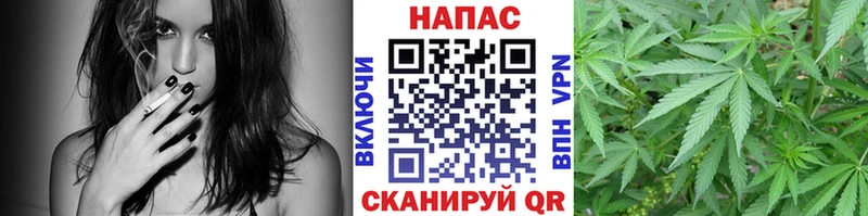 Конопля семена  Мостовской 